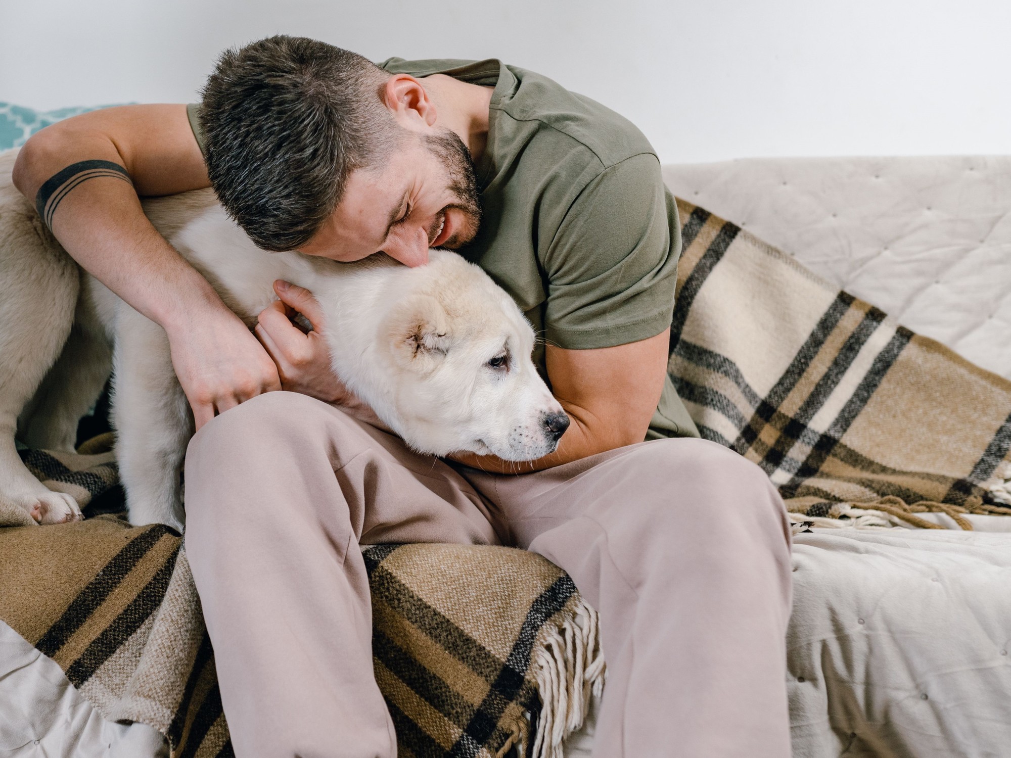 Leptospirosis: más casos en personas y perros en Buenos Aires