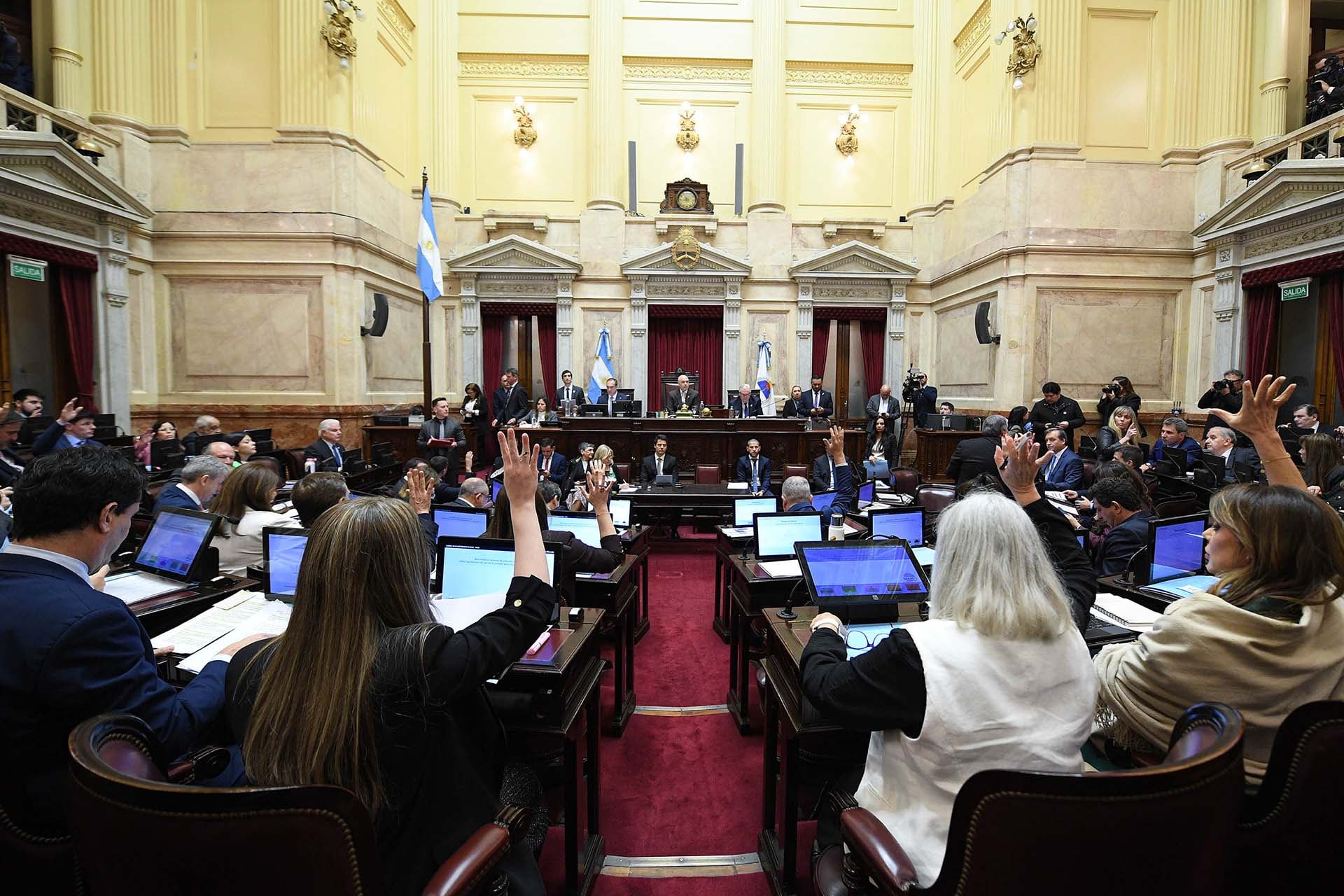 Senado: salud mental y beneficios fiscales para inversiones desde USD 12 millones